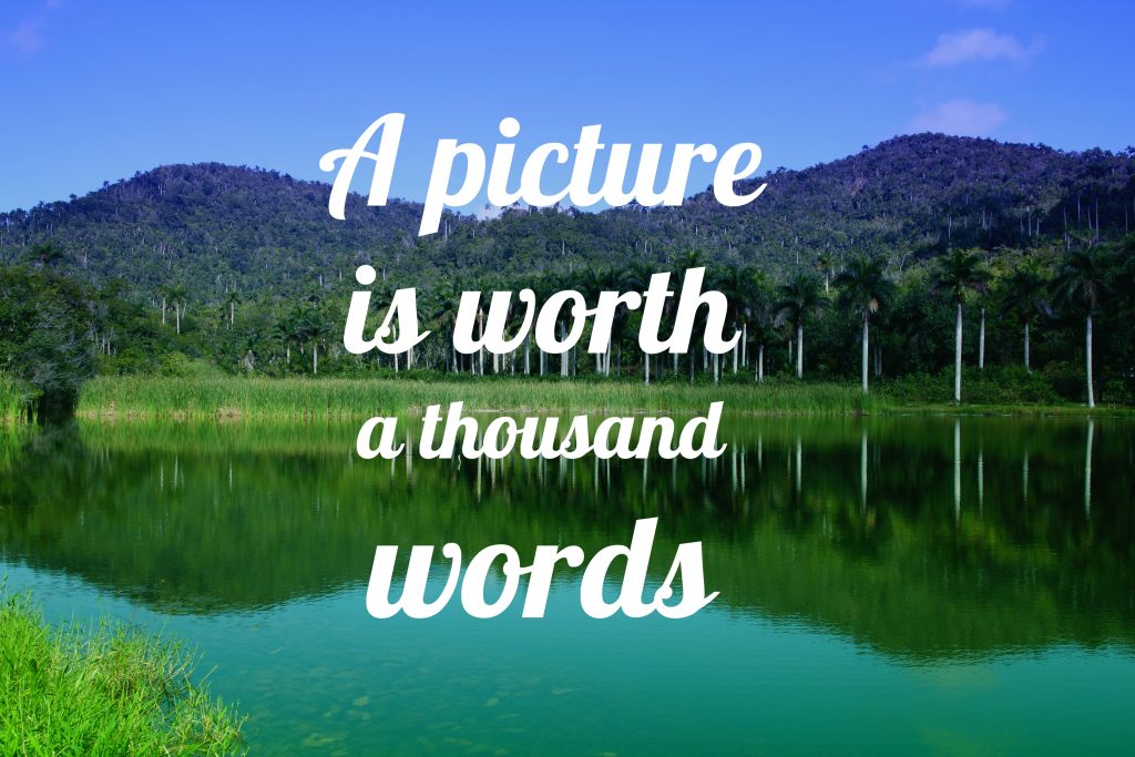 Visual Rhetoric Brings Words To Life